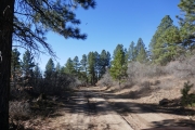 ruts