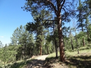 dirt_track