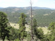 mountain_view