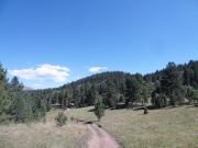 to_the_next_hill