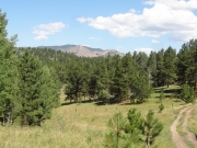 trail_with_a_view