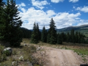 early_trail