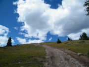 hill_climb