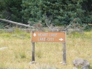 intersection_sign