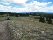 jeeps
