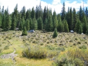 on_the_trail