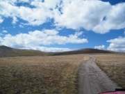 tundra
