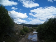 water_crossing