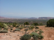 big_view