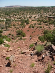 crazy_hill_part_1