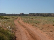 early_trail