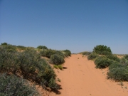 fast_sand
