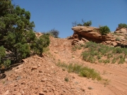 fun_climb