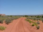 main_road