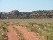 mellow_trail