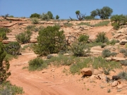 out_of_the_ravine_part_3