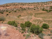 ravine_below