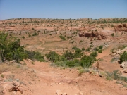 trail_up_ahead