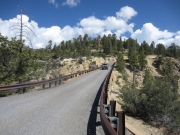 walt_on_the_bridge_part_1