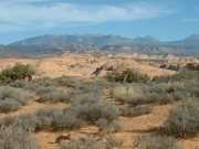 desert
