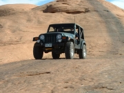 ladd_on_the_trail