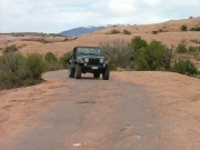 ladd_on_the_trail