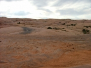 tire_marks