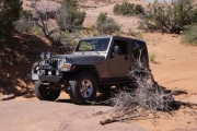 walt_on_the_trail_part_1
