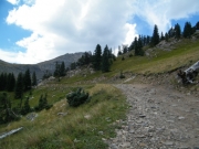 approaching_timberline
