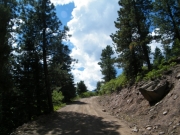 early_trail