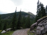 first_view