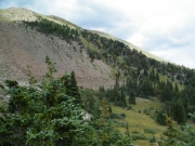 green_and_rocky