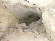 collapsed_section