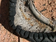 disintegrated_tire