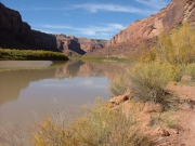 early_view_of_the_river