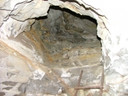 ladder