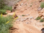 bumpy_section