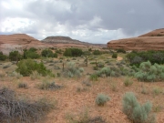 hidden_canyon_part_3