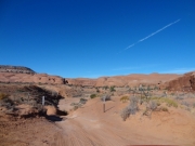down_into_the_canyon