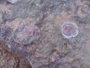 weird_rock_near_50-50