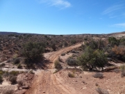 dirt_climb