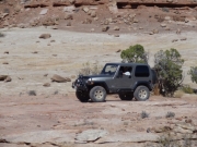 walt_on_slickrock
