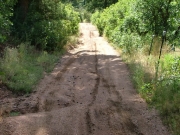 early_trail