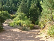 bridge