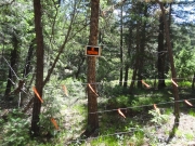 no_trespassing