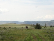 big_view