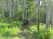 bill_in_aspens