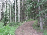 climbing