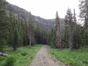 early_trail