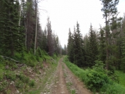 little-used_trail
